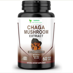 Darwin Supplements Polysaccharide Inonotus obliquus Extract Capsule 500mg Chaga Mushroom Capsules