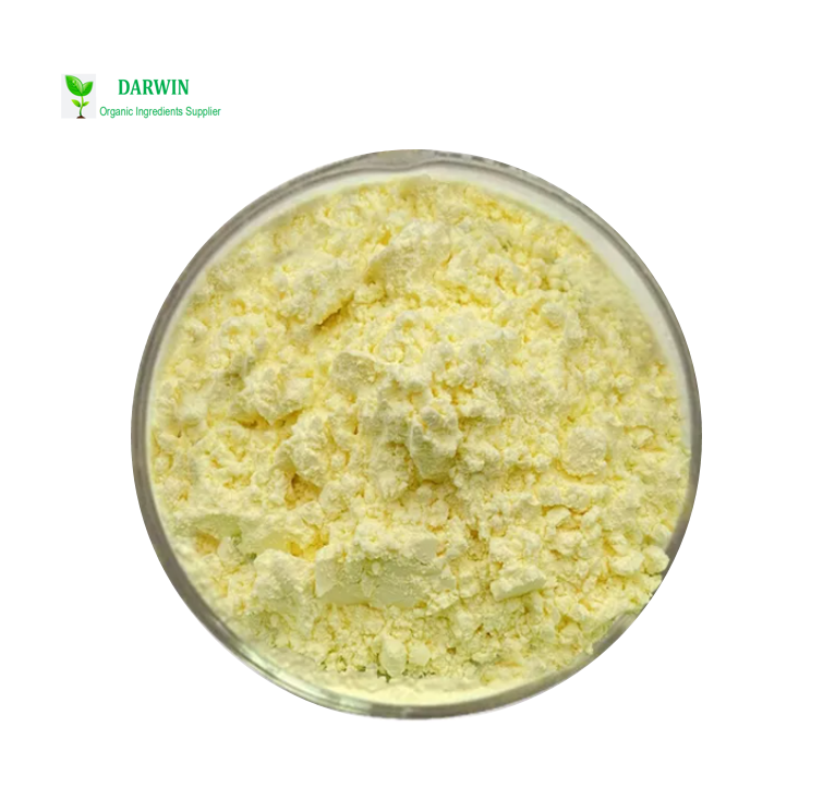 DAR High Quality Raw Material Organic Water Soluble Kava Kava Root Extract Kavalactones