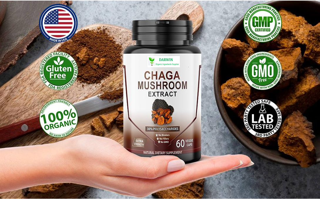 Darwin Supplements Polysaccharide Inonotus obliquus Extract Capsule 500mg Chaga Mushroom Capsules