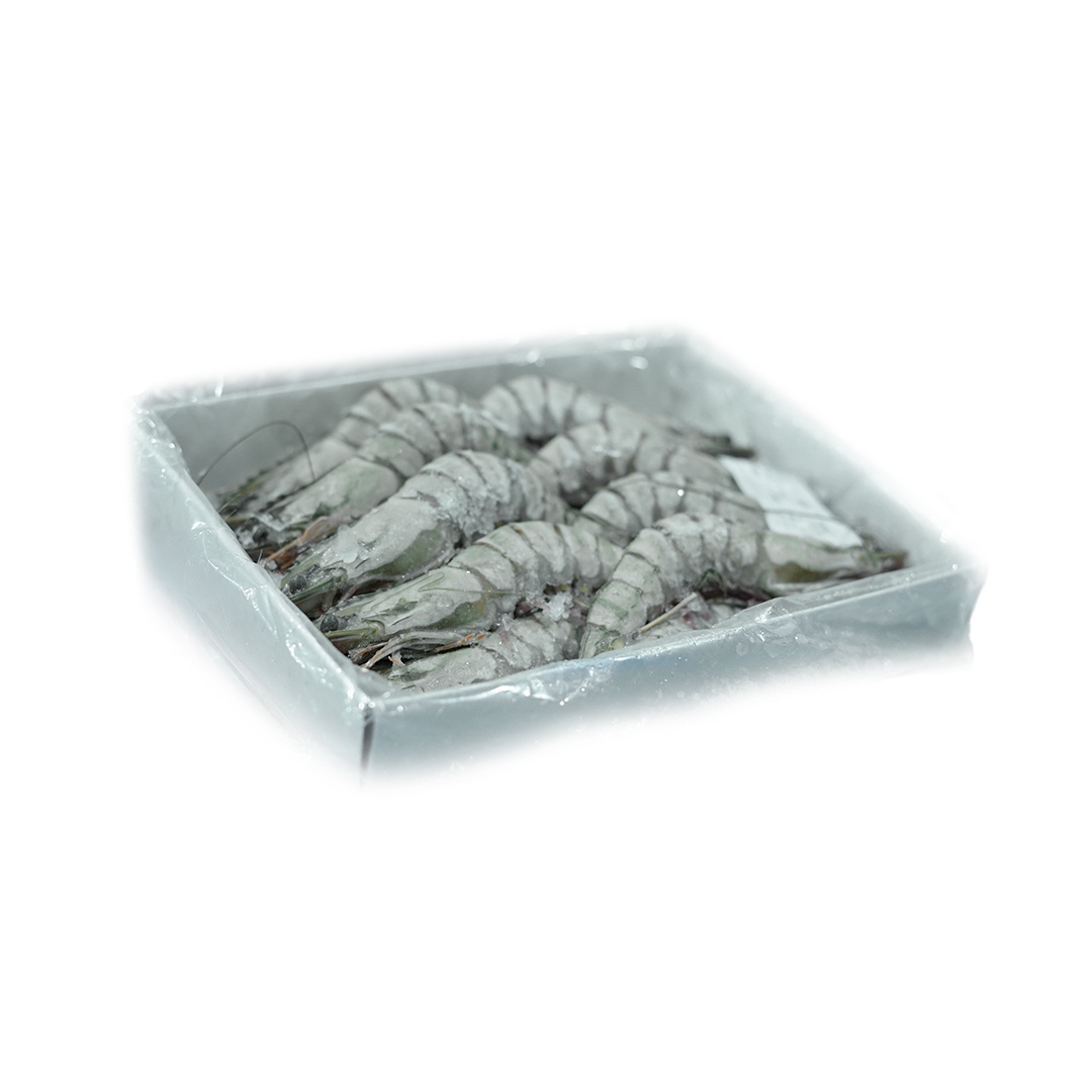 Frozen Whole Black Tiger Prawn Best Quality Seafood Frozen Shrimp from Indonesia