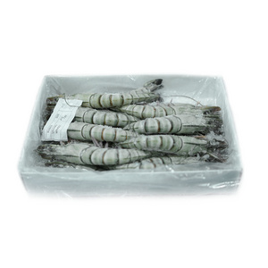 Frozen Whole Black Tiger Prawn Best Quality Seafood Frozen Shrimp from Indonesia