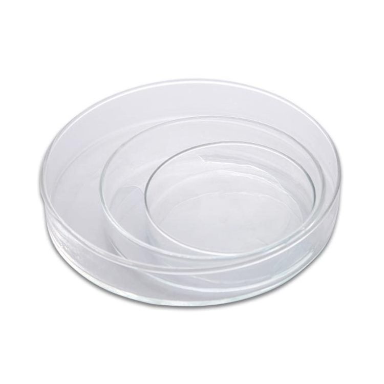 Laboratory Glassware Petri Dish 100mm Glass Petri Dish