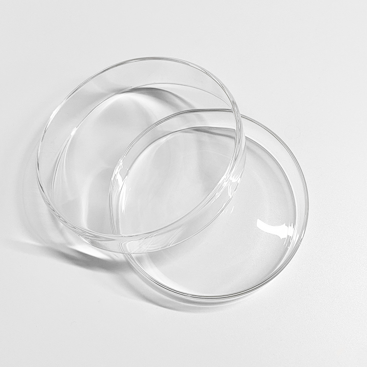 Laboratory Glassware Petri Dish 100mm Glass Petri Dish