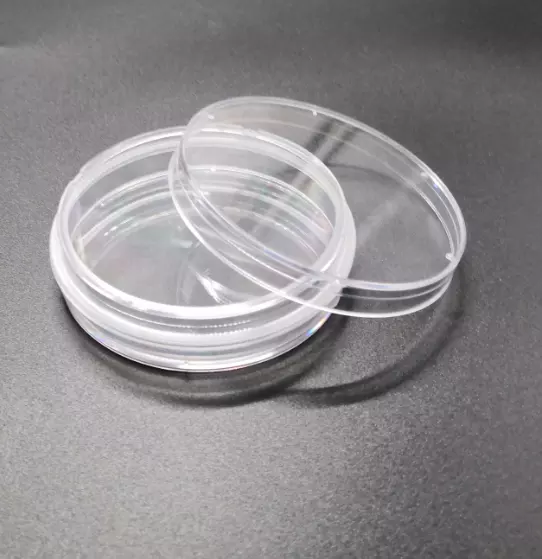 Laboratory Glassware Petri Dish 100mm Glass Petri Dish