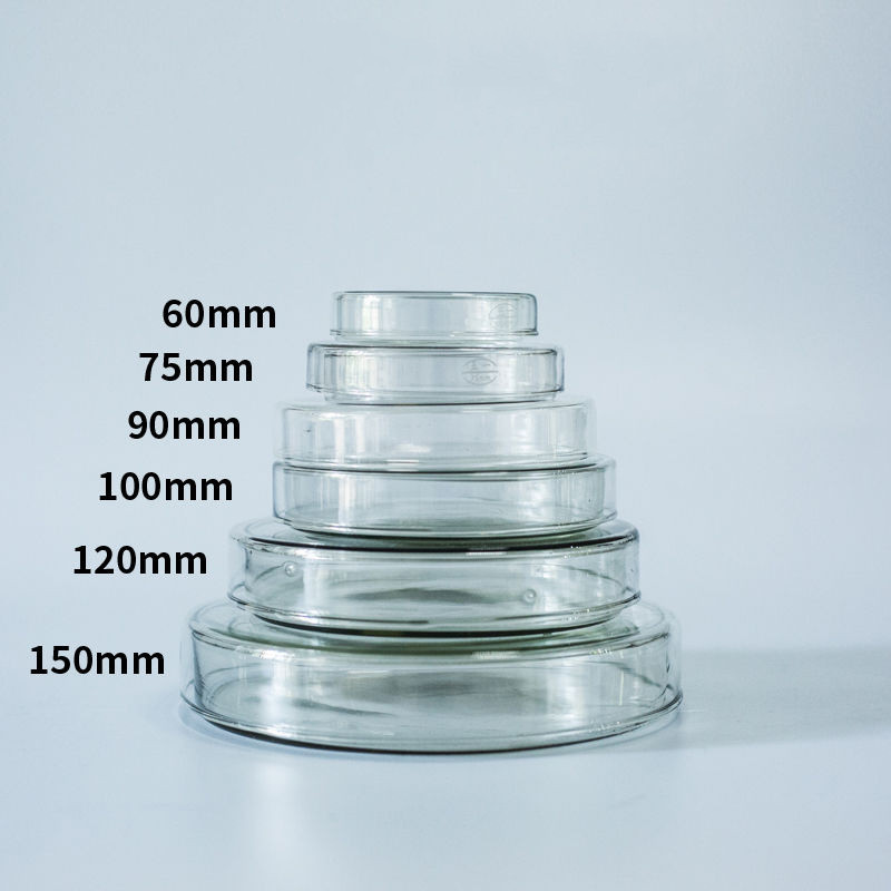 Laboratory Glassware Petri Dish 100mm Glass Petri Dish