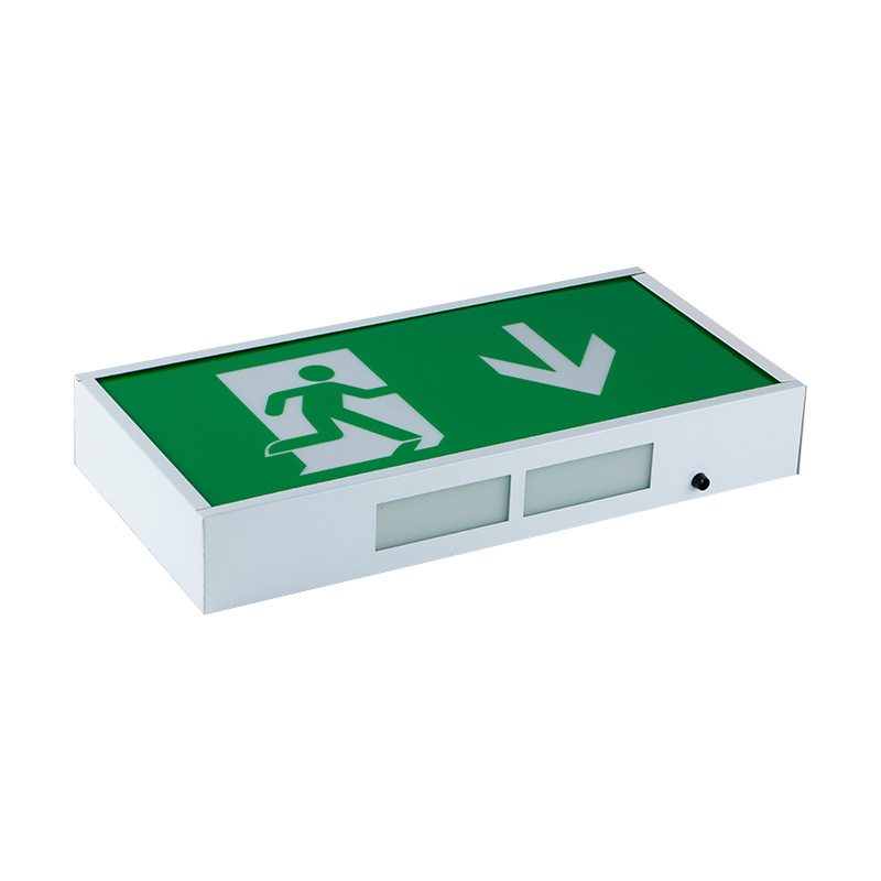 ODM OEM Green Emergency Exit Lighting Sign Rechargeable LED 220V Emergency Sign light