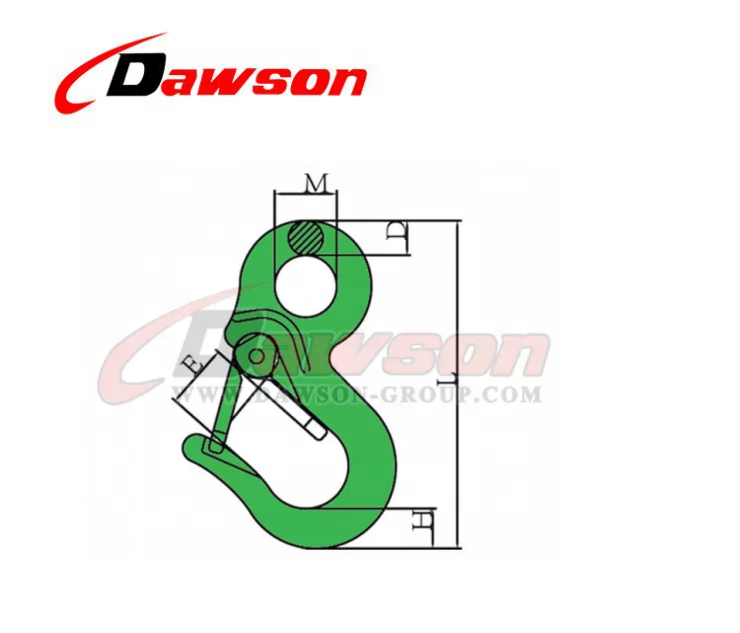 DS238 Grade 80 WLL 0.5-1T Special Eye Hook with Latch, G80 Eye Hoist Hook