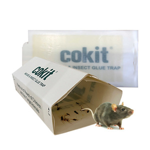 Cokit Portable Cockroach Pest Traps Sticky Boards Foldable Mouse Glue Trap Pest Control