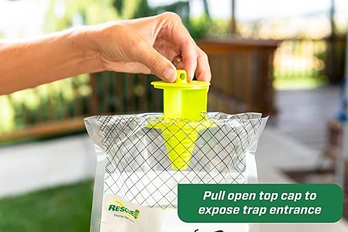 Dayoung  Eco-Friendly Outdoor Hanging Disposable Fly Fruit Trap Fly Trap Bag Fly Catcher