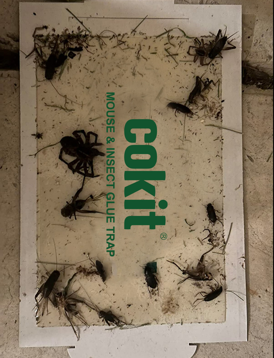 Cokit Portable Cockroach Pest Traps Sticky Boards Foldable Mouse Glue Trap Pest Control