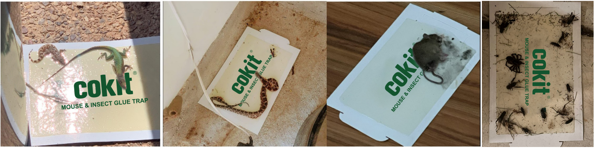 Cokit Portable Cockroach Pest Traps Sticky Boards Foldable Mouse Glue Trap Pest Control