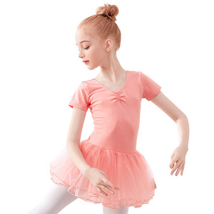 Girls Ballet Dress Birthday Princess Dress Children Dance Tutu Skirted Leotard