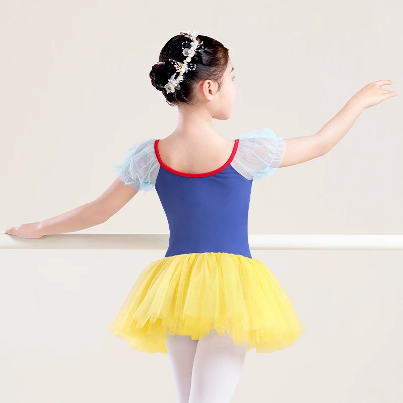 Girls Puffy Sleeves Ballet Tutu Dress Kids Dance Princess Dress Children Leotards with Four Layers Skirts