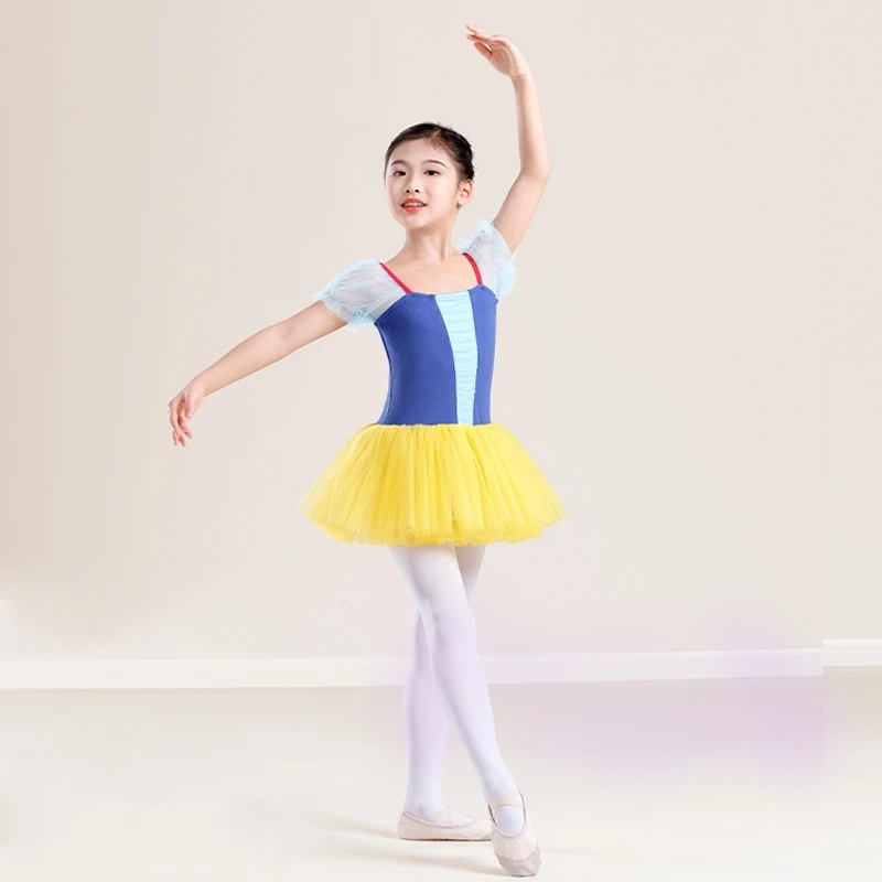 Girls Puffy Sleeves Ballet Tutu Dress Kids Dance Princess Dress Children Leotards with Four Layers Skirts