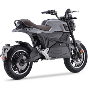 EEC Motorcycle 90km/h Classic Moped Electric Motorcycle for Adult Off-road Riding