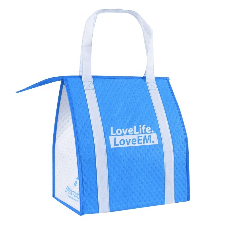 Strong handle Dot non woven Insulated meal picnic outdoor cooler bag thermal with zipper closure