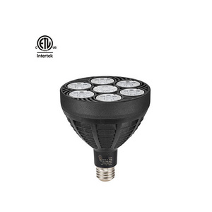 Modern 60W SMD PAR38 Aluminum Body LED Spotlight Indoor IP20 Rating Jewelry Spot Light for Gallery Lighting