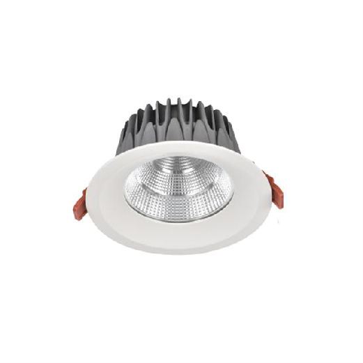 Aluminium PC Waterproof 12W 15W 20W IP65 LED Downlight Recessed 30W Cut Out Size 170mm For Outdoor