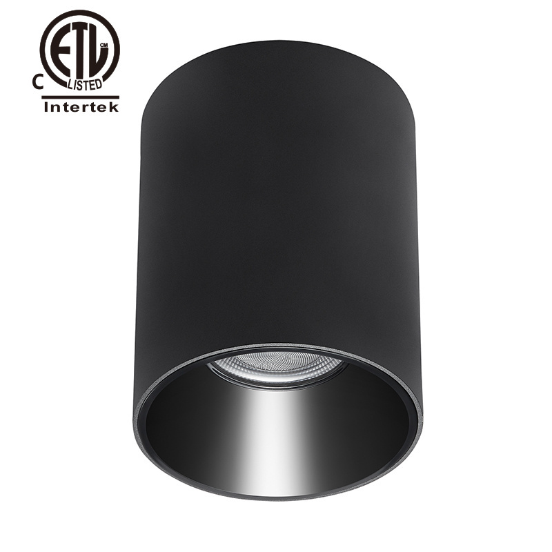 Shenzhen Factory In Stock cETL ETL 0-10V Dimmable 12W 20W 30W 60W 100W Ceiling Hanging Cylindrical Crystal Pendent Light