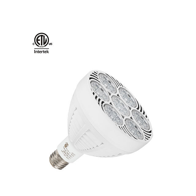 Modern 60W SMD PAR38 Aluminum Body LED Spotlight Indoor IP20 Rating Jewelry Spot Light for Gallery Lighting