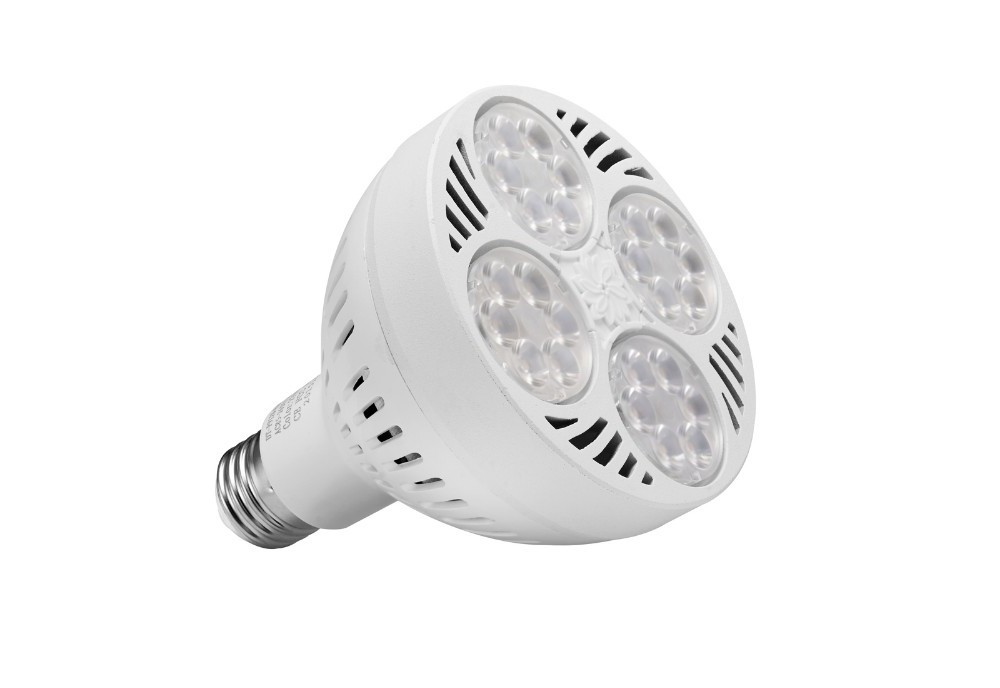 ETL CE ROHS Approved PAR30/PAR38 Ceiling LED Light 35W/40W par30 flood light bulb