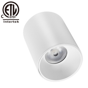 SAA CETL  SZDAYTON  IP65 Waterproof Hotel Round Square LED Downlight Surface Mounted 100 Diameter downlight cct 10W 50W 100W