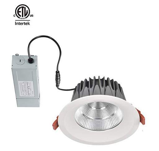 Aluminium PC Waterproof 12W 15W 20W IP65 LED Downlight Recessed 30W Cut Out Size 170mm For Outdoor