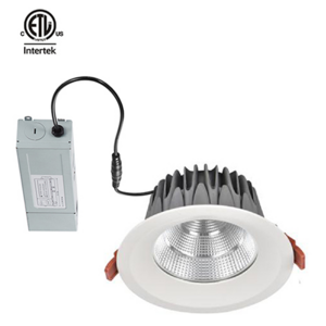 Aluminium PC Waterproof 12W 15W 20W IP65 LED Downlight Recessed 30W Cut Out Size 170mm For Outdoor