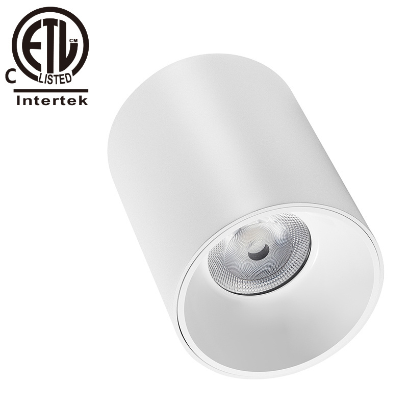 Shenzhen Factory In Stock cETL ETL 0-10V Dimmable 12W 20W 30W 60W 100W Ceiling Hanging Cylindrical Crystal Pendent Light