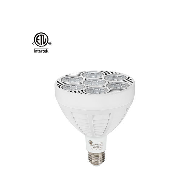 Modern 60W SMD PAR38 Aluminum Body LED Spotlight Indoor IP20 Rating Jewelry Spot Light for Gallery Lighting