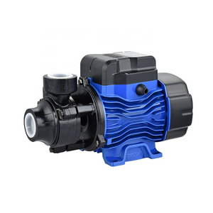 DAYUAN Best Selling Italian Design QB70 Electric Low Pressure Micro Water Pump For Clean Water