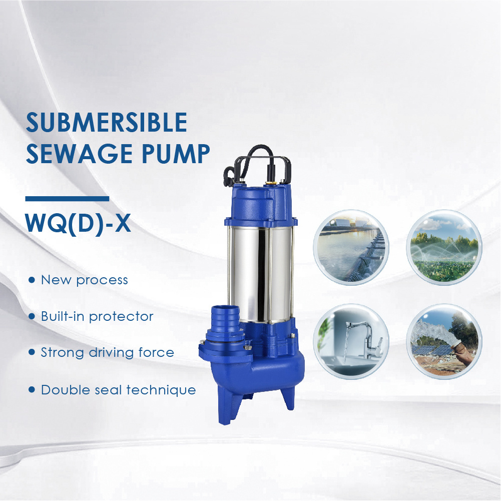 DAYUAN 0.48HP 2 Inch Electric Dirty Water Pump 220/110V Stainless Steel Submersible Sewage Water Pump With Float Switch