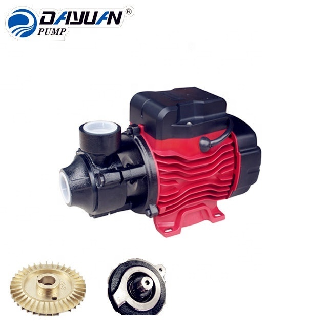 DAYUAN Best Selling Italian Design QB70 Electric Low Pressure Micro Water Pump For Clean Water