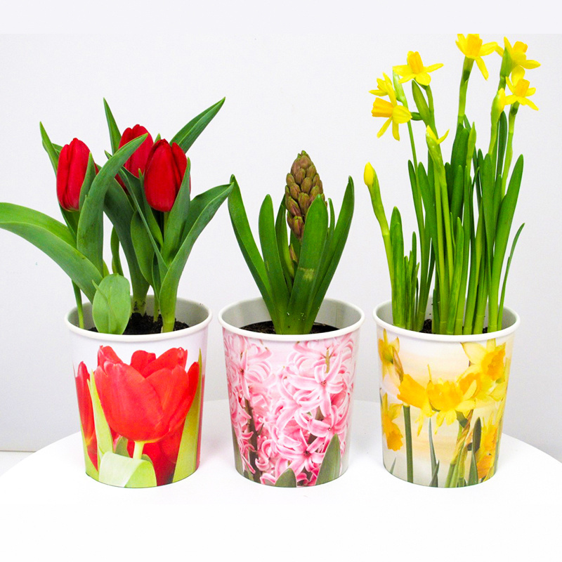 Biodegradable Paper plant pot garden flowerpot paper seedling trays