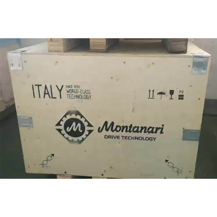 Montanari Gearless Elevator Motor Elevator Traction Machine