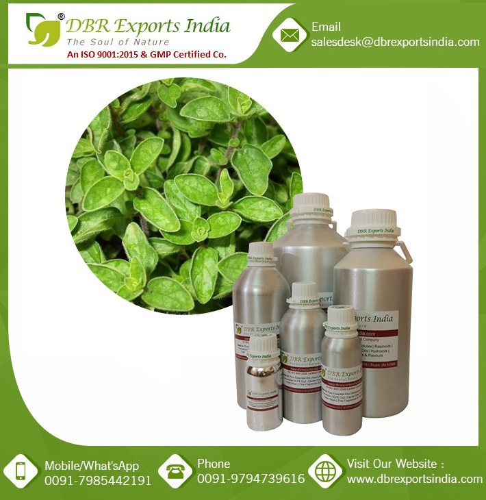 Small Quantity of Oregano Oil carvacrol rich 100% Oregano oil bulk supplier Exporter of Oregano Oil