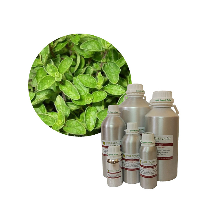 Small Quantity of Oregano Oil carvacrol rich 100% Oregano oil bulk supplier Exporter of Oregano Oil