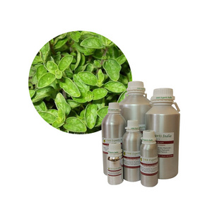 Small Quantity of Oregano Oil carvacrol rich 100% Oregano oil bulk supplier Exporter of Oregano Oil