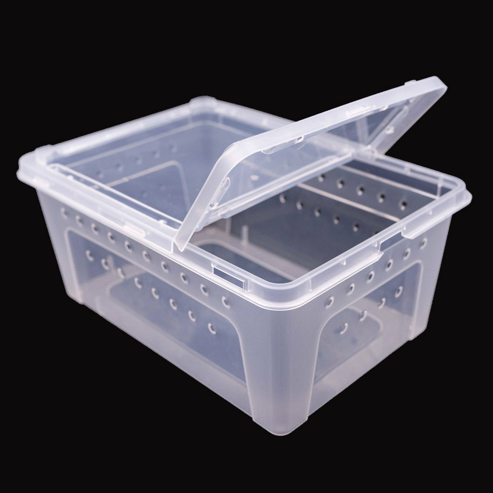 Reptile medium plastic feeding box vivarium, reptile travel habitat box enclosure for gecko frog spider snake baby lizard