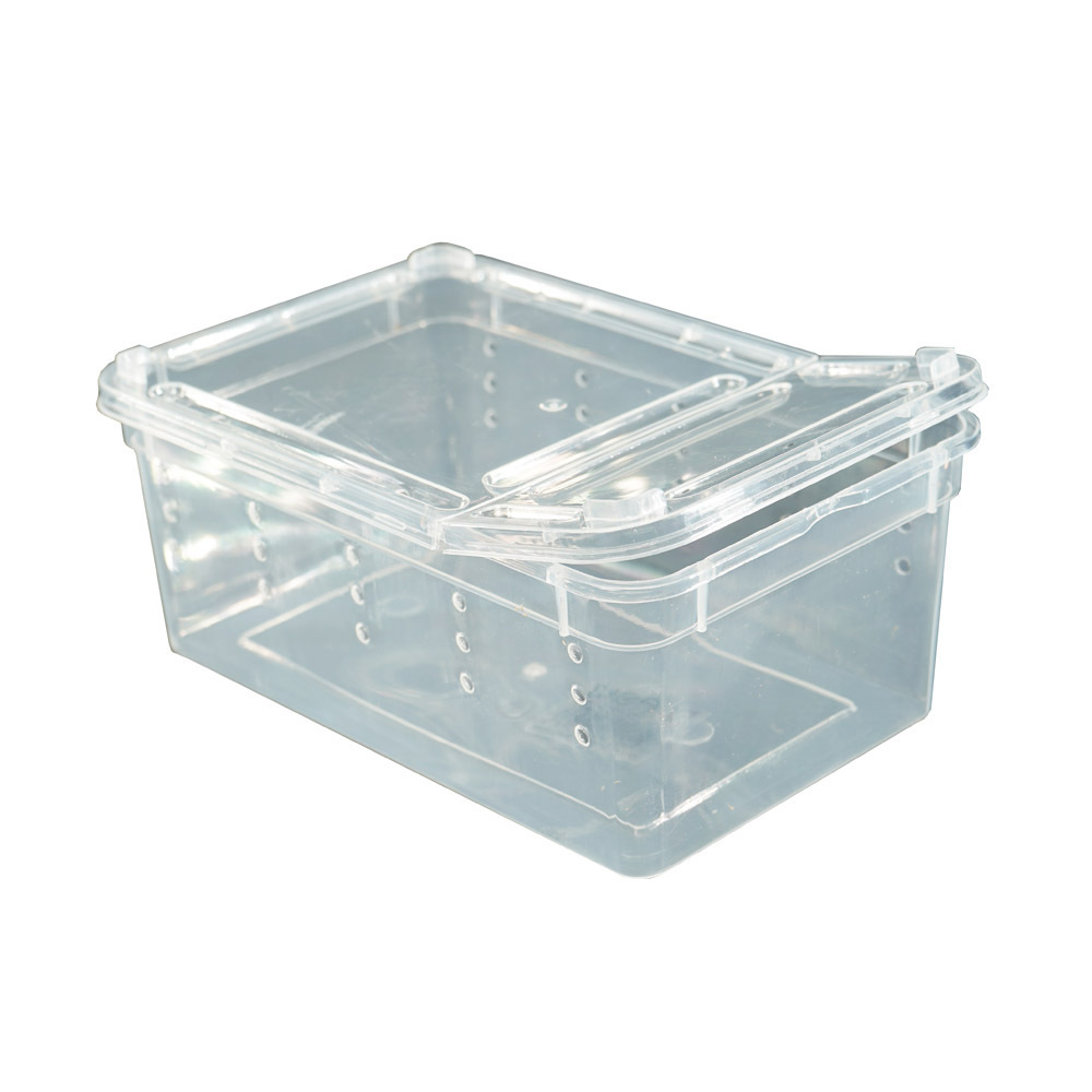 Reptile small plastic feeding box terrarium, reptile travel habitat box for gecko frog spider snake baby lizard