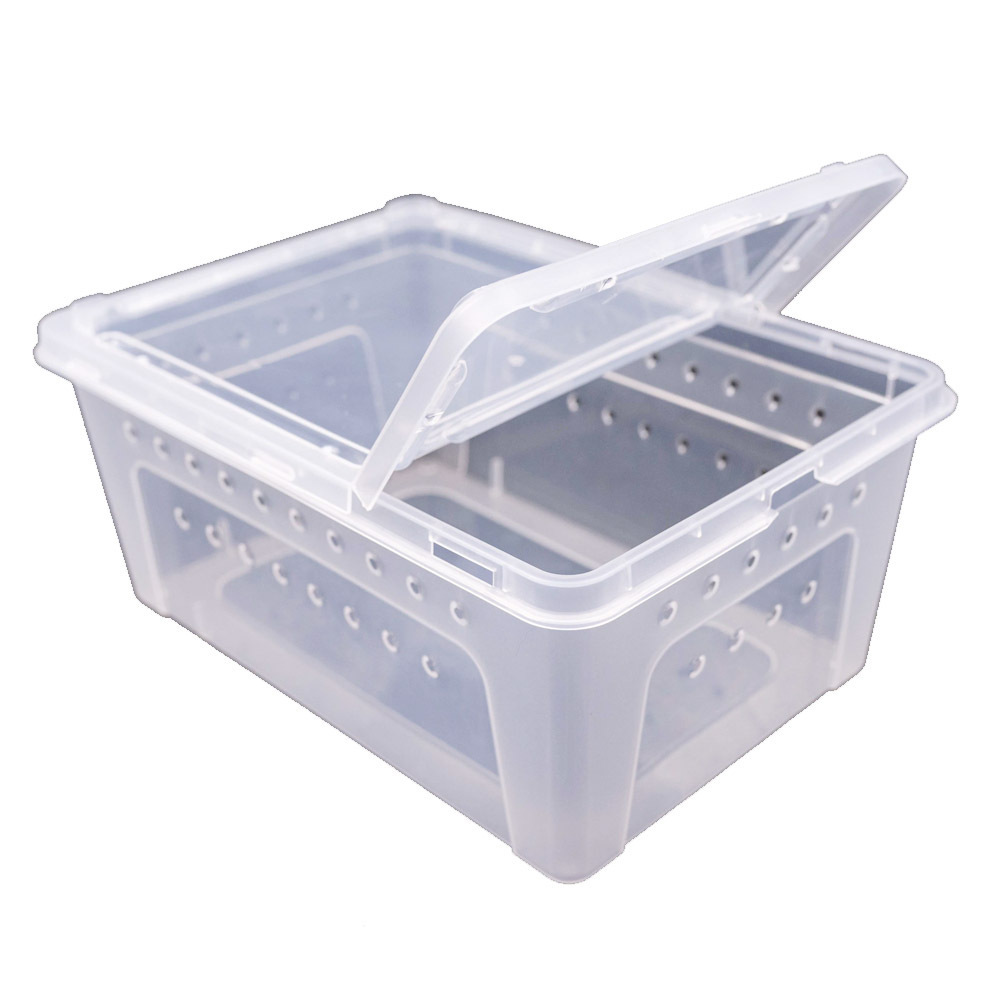 Reptile large plastic feeding box terrarium, reptile travel habitat box for gecko frog spider snake lizard scorpions