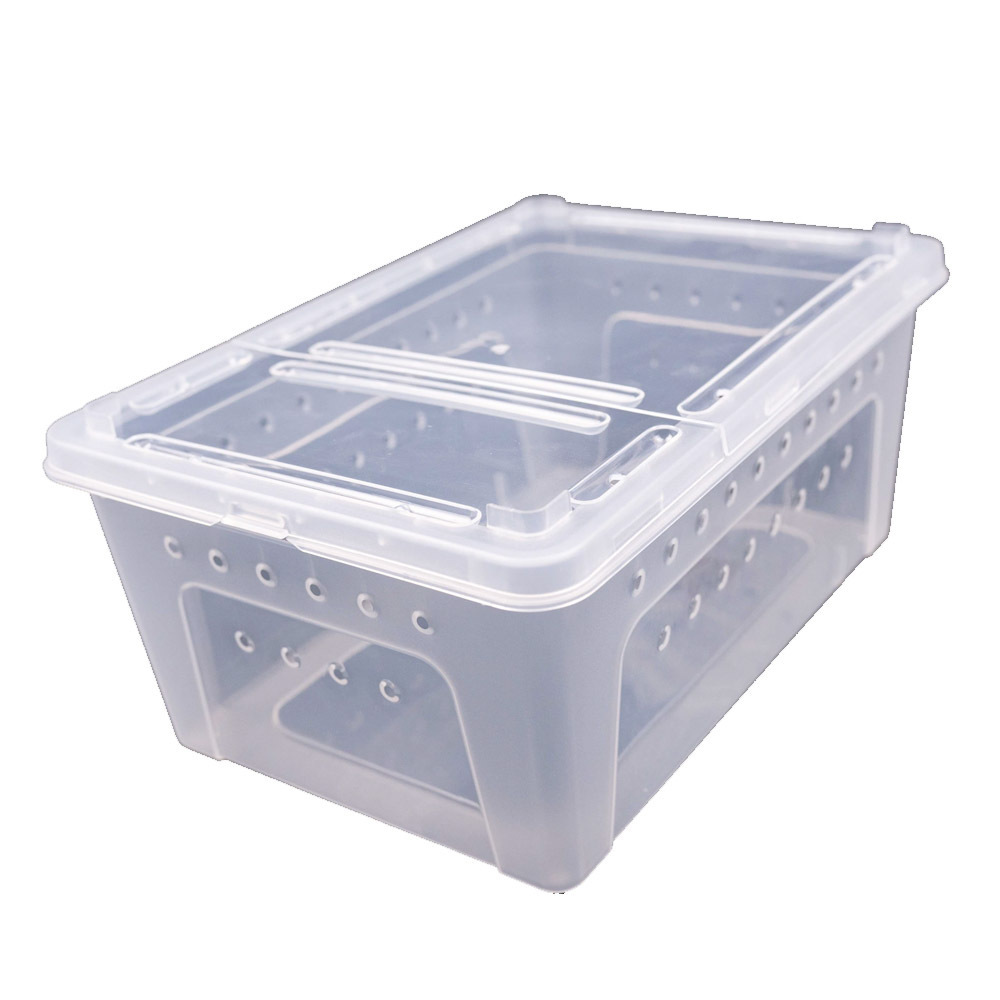 Reptile medium plastic feeding box vivarium, reptile travel habitat box enclosure for gecko frog spider snake baby lizard