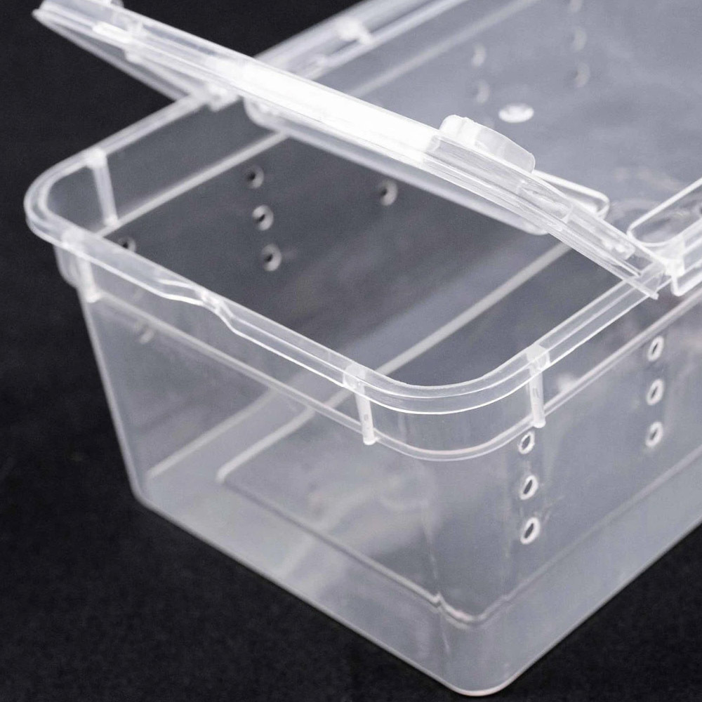 Reptile small plastic feeding box terrarium, reptile travel habitat box for gecko frog spider snake baby lizard