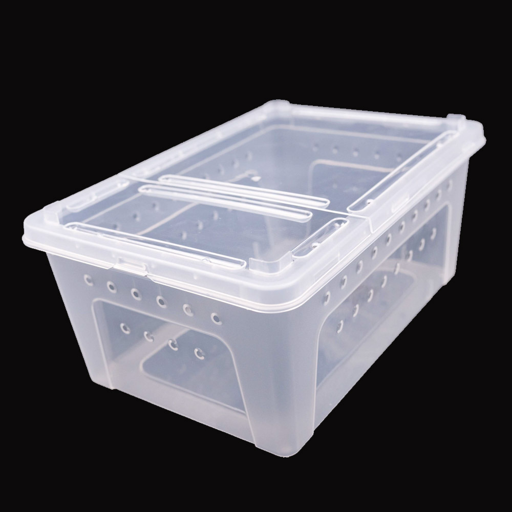 Reptile large plastic feeding box terrarium, reptile travel habitat box for gecko frog spider snake lizard scorpions