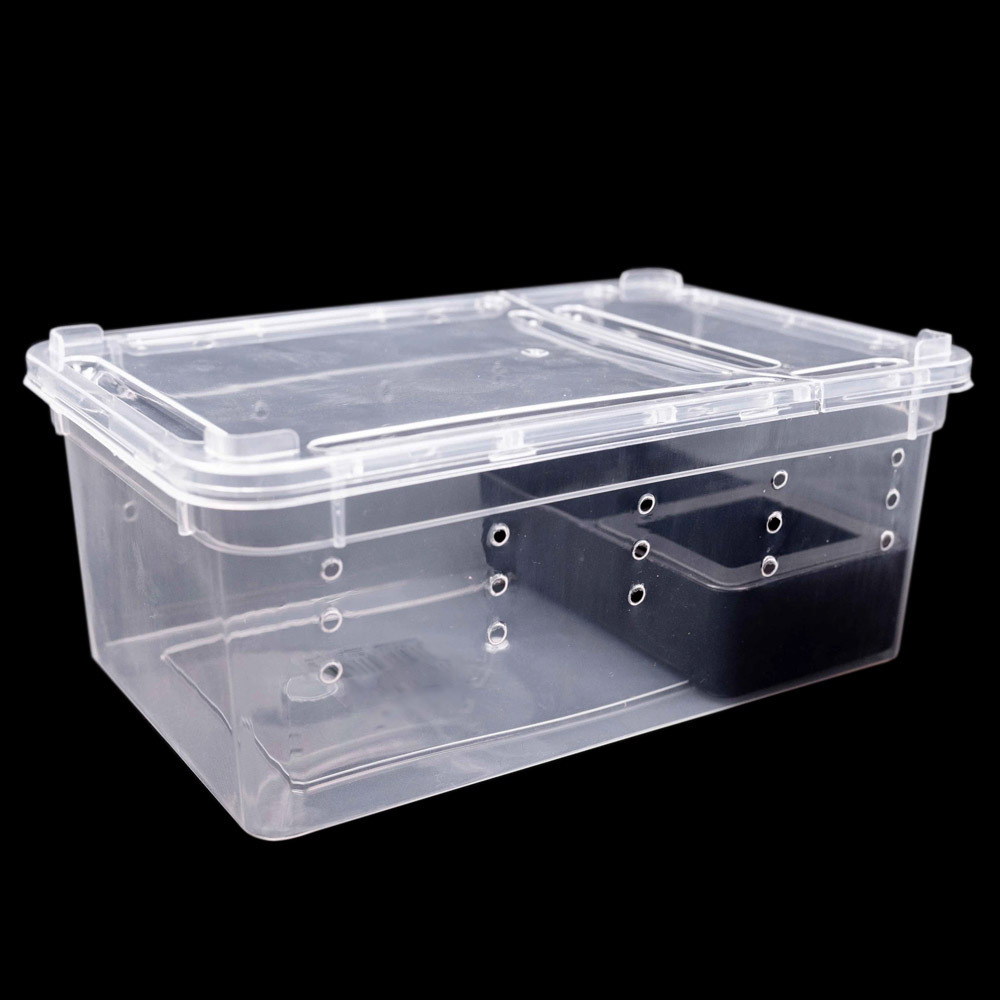 Reptile small plastic feeding box terrarium, reptile travel habitat box for gecko frog spider snake baby lizard