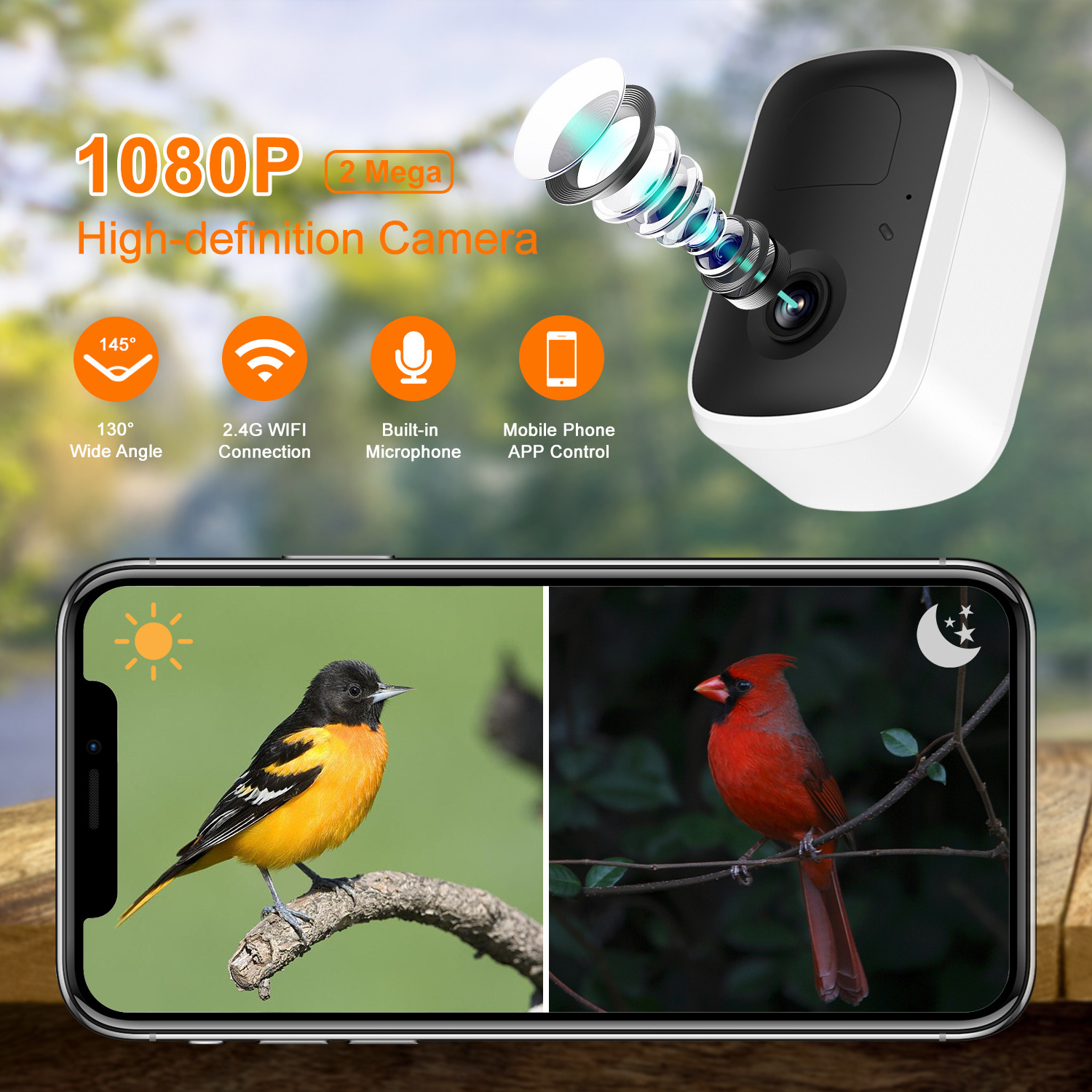 AI Intelligent Recognition Wild Birds Feeders for Outdoors App Control Smart Bird Watcher Bird Feeder with Camera