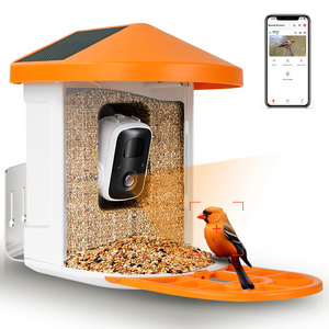 1080p Hummingbird Ai Outdoor Motion Activted Video Smart bird buddy feeder camera With Solar Panel