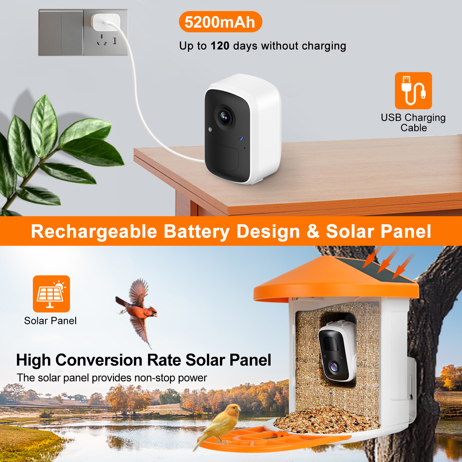 1080p Hummingbird Ai Outdoor Motion Activted Video Smart bird buddy feeder camera With Solar Panel