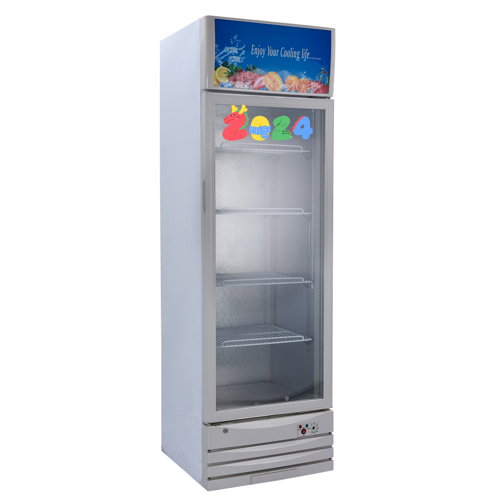 Cost effective Glass Door Cola beverage beer Pepsi display Fridge run on solar system 268 litres energy saving