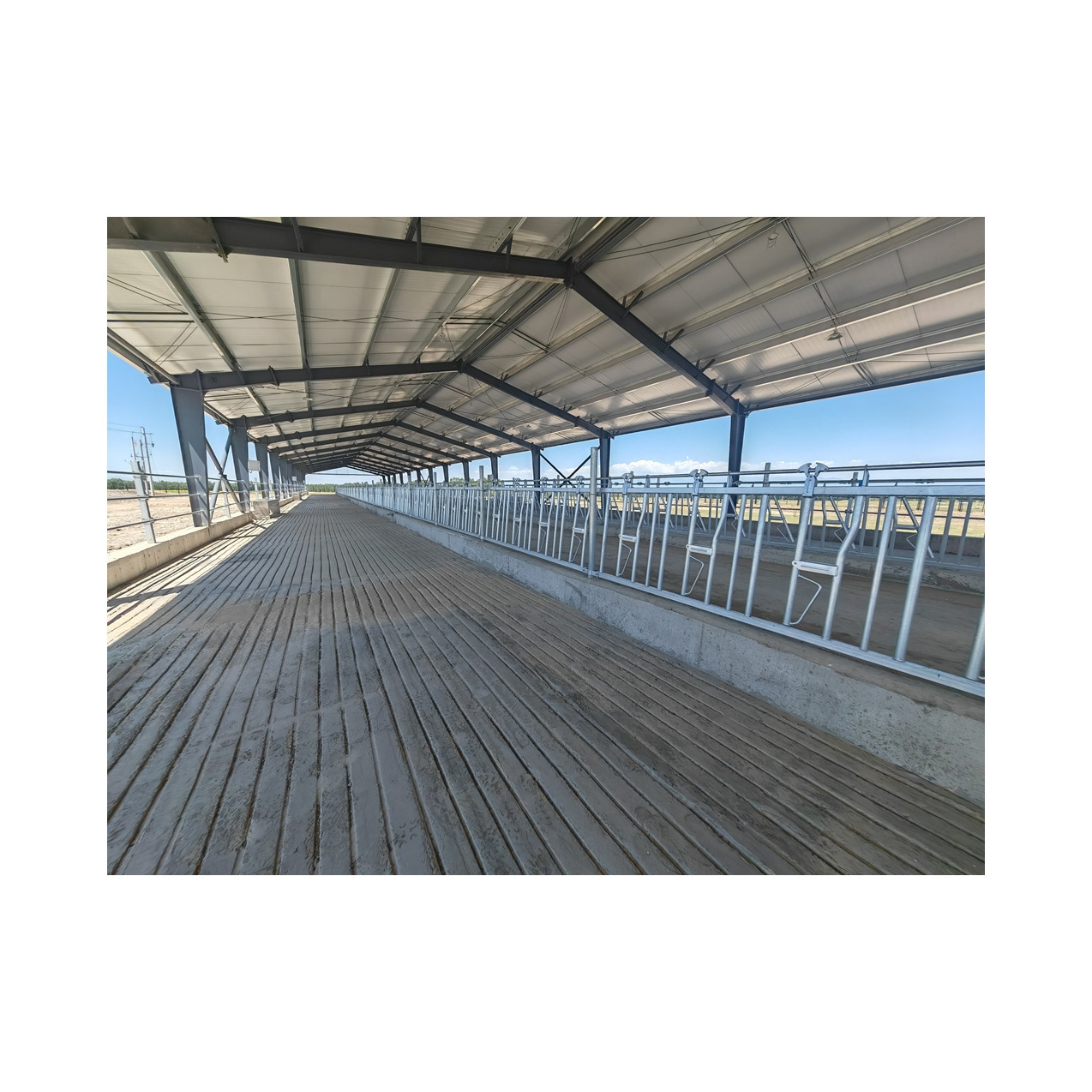 High quality galvanized cow headlock dairy farm management equipment ...